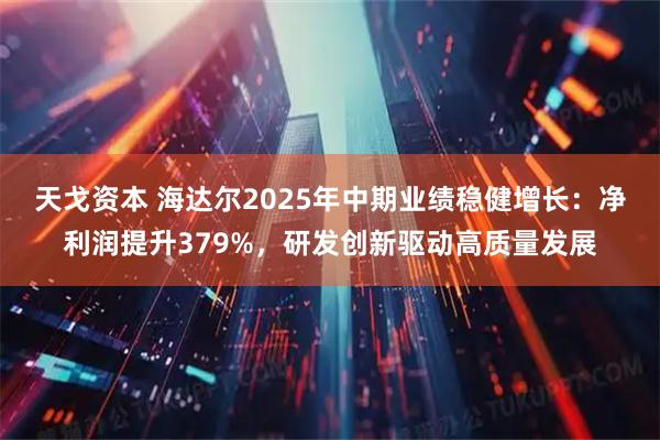天戈资本 海达尔2025年中期业绩稳健增长：净利润提升379%，研发创新驱动高质量发展