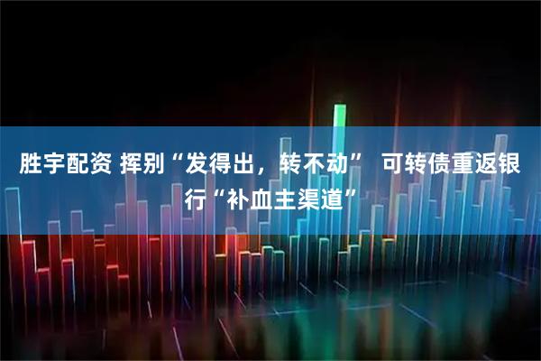 胜宇配资 挥别“发得出，转不动”  可转债重返银行“补血主渠道”