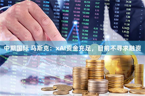 中期国际 马斯克：xAI资金充足，目前不寻求融资