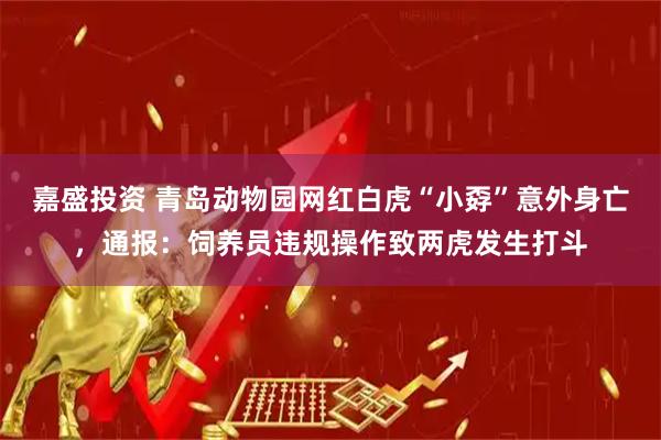 嘉盛投资 青岛动物园网红白虎“小孬”意外身亡，通报：饲养员违规操作致两虎发生打斗